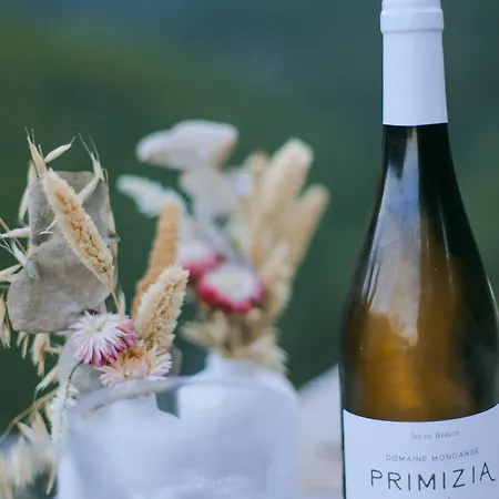 La Pause - 3 Avec Jacuzzi Privatif A Chisa