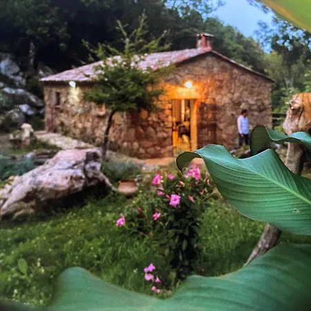 La Pause - 3 Avec Jacuzzi Privatif A * Chisa