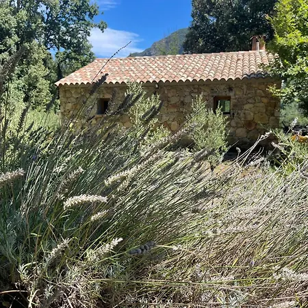 La Pause - 3 Avec Jacuzzi Privatif A *