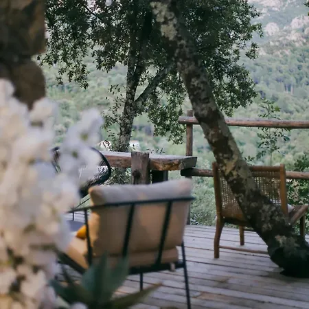 La Pause - 3 Avec Jacuzzi Privatif A Chisa