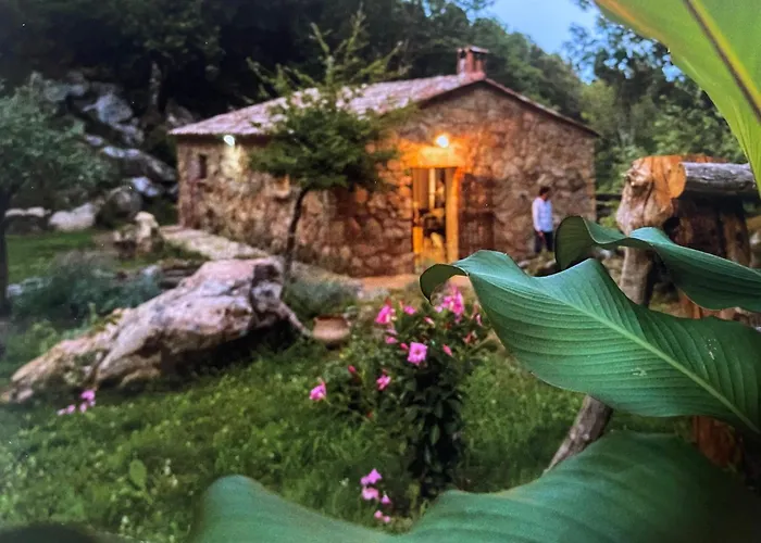 La Pause - 3 Avec Jacuzzi Privatif A * Chisa