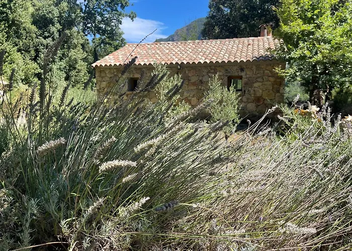 La Pause - 3 Avec Jacuzzi Privatif A *