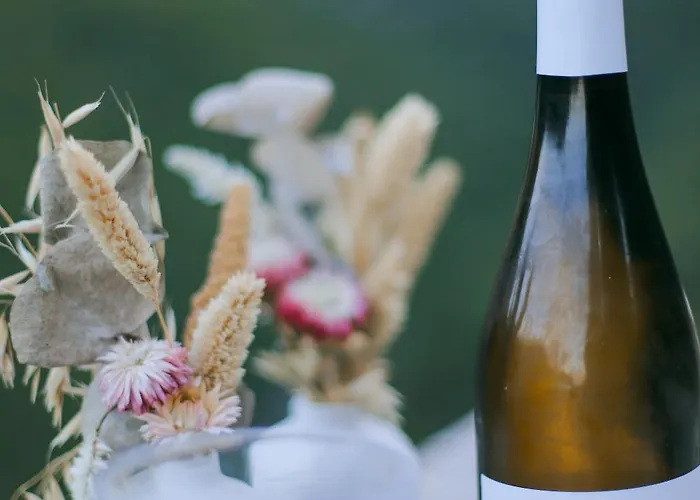 La Pause - 3 Avec Jacuzzi Privatif A Chisa